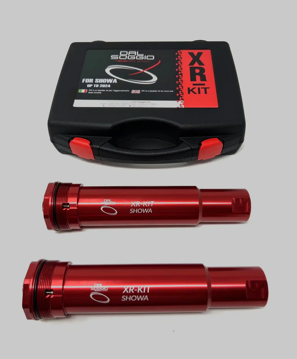 Dal Soggio Kit XR SHOWA from 2024