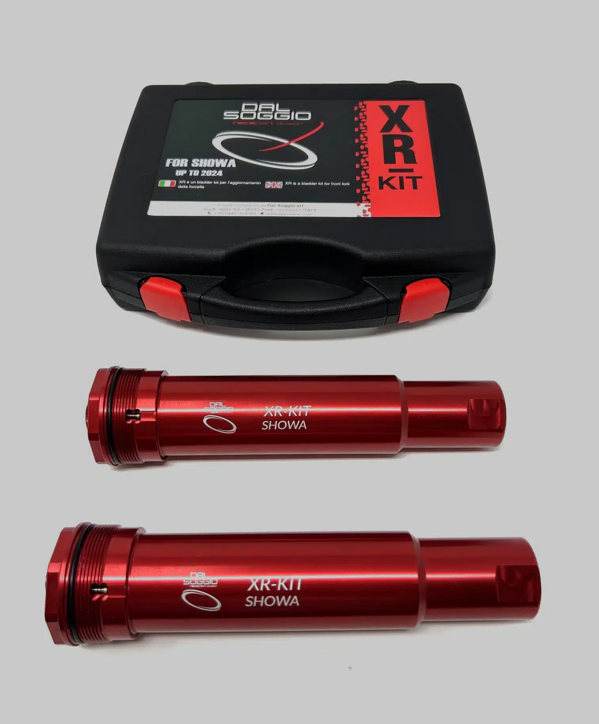 Dal Soggio Kit XR SHOWA from 2024