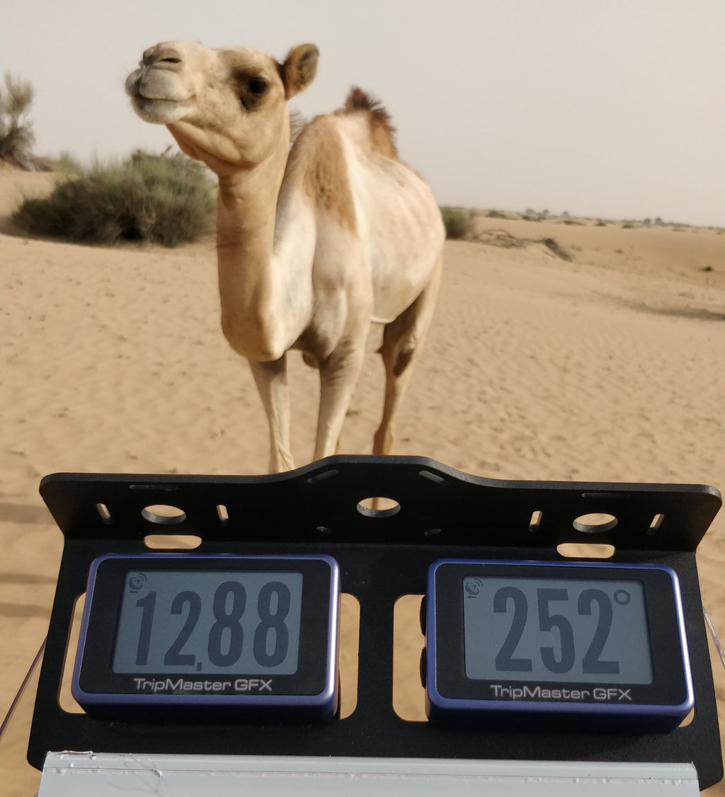 RNS TripMaster GFX v2 Pro